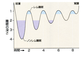 心地よい眠りのための快適ベッド選びのコツ