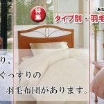 タイプ別羽毛布団