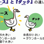 グース（がちょう）