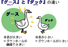 新婚生活に欠かせない京都西川の婚礼ブライダル寝具セットとマットレス2