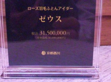 京都西川本社のすごい奴