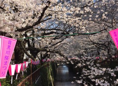 桜と目黒の家具屋通り