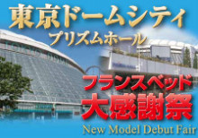プリズムとポリリズム