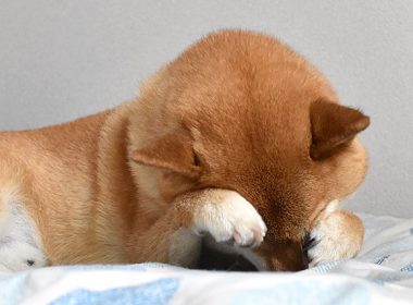 電動ベッドのある生活