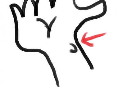 フランス落とし（かかと落としじゃないよ！）