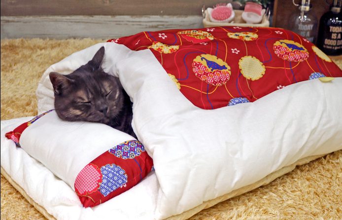じめじめした季節こそ寝具の買い替えを!