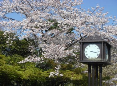 家具のプロと高品質な家具がほしい方の出会いの場