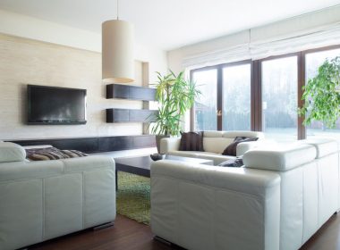 お部屋に四季を取り入れよう！枝物・木を活用したインテリア